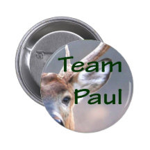 team Paul button