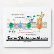 Team Photosynthesis (Light-Dependent Reactions)
