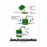 Team Protein Synthesis Postcards