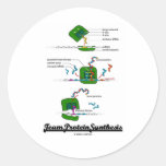 Team Protein Synthesis Round Stickers