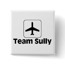 Team Sully Pin