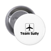 Team Sully Pinback Buttons