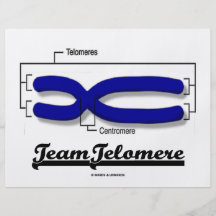 Team Telomere (Biology Humour) Full Colour Flyer