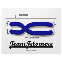 Team Telomere (Biology Humour)