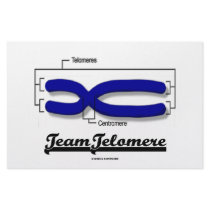 Team Telomere (Biology Humour)