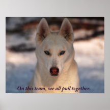 Teamwork Photo Poster
