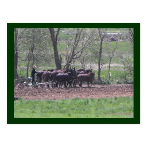 ~ Teamwork ~ Post Card