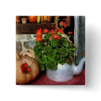 Teapot Filled With Geraniums
