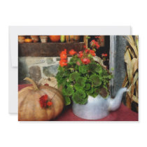 Teapot Filled With Geraniums