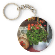 Teapot Filled With Geraniums