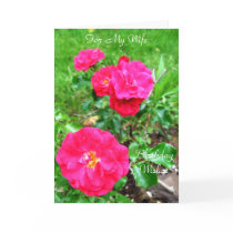 TeaRose Birthday cards