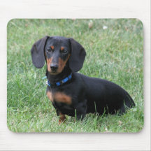 Teckel Tapis De Souris