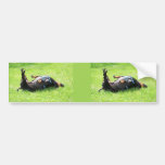 Teckel - TGIF Autocollant Pour Voiture