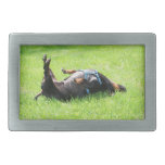 Teckel - TGIF Boucles De Ceinture Rectangulaires