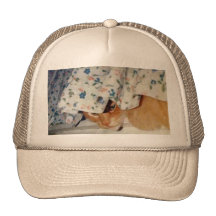 Ted Peekaboo Mesh Hat