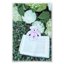 teddy bear , hydrangeas, and book photographic print