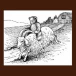 Teddy Bear Riding Angora Goat posters