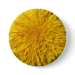 Teddy Bear Sunflower Pin