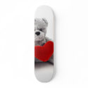 Teddy Bear Toy Holding A Heart On White Background skateboards