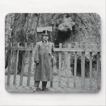 Teddy Roosevelt at the Big Tree Grove Santa Cruz Mousepads
