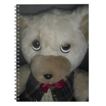 TEDDYBEAR LOVERS NOTEBOOK