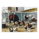 TEE Barn Friends Business Card