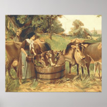 TEE Barn Girlie Print