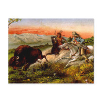 TEE Buffalo Chase Post Card