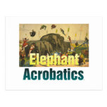 TEE Elephant Acrobatics Post Card