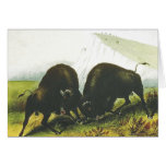 TEE Prairie Battle Cards