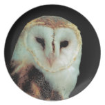 Tee - shirt de hibou de grange et cadeaux - person assiette
