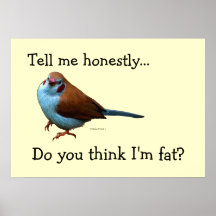 Tell Me Honestly... Do You Think I'm Fat?? Poster