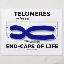 Telomeres End-Caps Of Life (Biology Humour) Full Colour Flyer