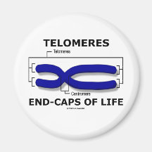 Telomeres End-Caps Of Life (Biology Humour) Fridge Magnet