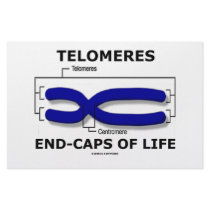 Telomeres End-Caps Of Life (Biology Humour)