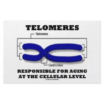 Telomeres Responsible For Aging At Cellular Level