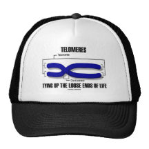 Telomeres Tying Up The Loose Ends Of Life Hats