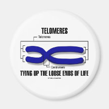 Telomeres Tying Up The Loose Ends Of Life Refrigerator Magnets