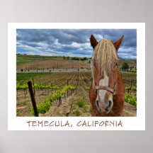 Temecula, California Poster