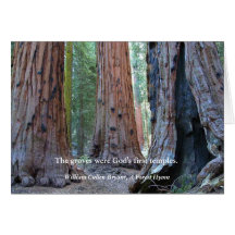 Temple of the Groves - Sacred Sequoia Trees, Quote Greeting Card