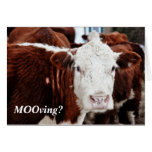 Temps de MOOving Carte De Vœux