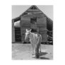 Tenant Farmer's Mule, 1930s Postcard