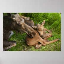 Tender Moments Poster