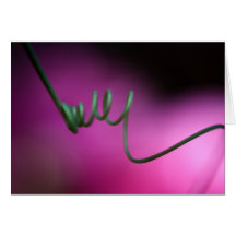Tendril on Pink Greeting Cards