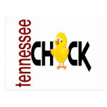 Tennessee Chick 1 Postcards