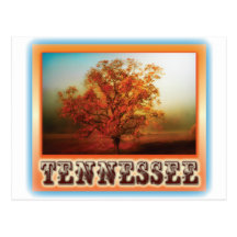Tennessee Fall Tree Scene Post Card