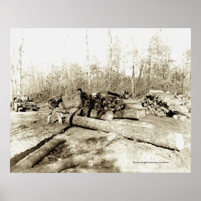 Tennessee Lumberjacks Poster by bhbphotos