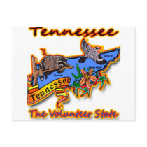 Tennessee The Volunteer State Racoon Flower Bird B Post Cards