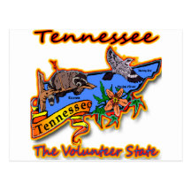 Tennessee The Volunteer State Racoon Flower Bird B Post Cards