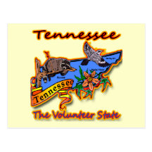 Tennessee The Volunteer State Racoon Flower Bird B Post Card